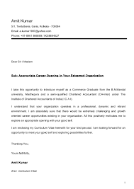 amit cv ca inter with cover letter