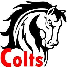✓ free for commercial use ✓ high quality images. Pin On Horse