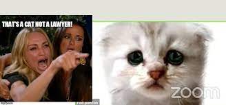 Submitted 3 months ago by annoyingcoofer. Image Tagged In Blank White Template Zoom Memes Cat Lawyer Woman Yelling At Cat Laugh Imgflip