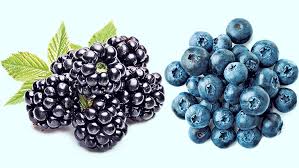 Blueberries