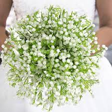 We did not find results for: Belle Vous Gypsophila Artificial Flowers 8 Pack 33cm Babys Breath Flowers With Stems Artificial Flowers For Home Office Bedroom Living Room Perfect For Floral Arrangement Buy Online In Burundi At Desertcart 103043910