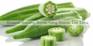 Kacang bendi mempunyai banyak kelebihannya. Khasiat Kacang Bendi Yang Ramai Tak Tahu Sentiasa Panas