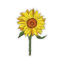 Hd print and professional manufacturing process. Sunflower With Stem Decal Yellow Flower Floral Laptop Decal Etsy Hong Kong