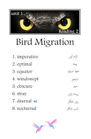 Bird Bird Bird Is The Word Movie Pin By Payman Ielts On 04 Barrons Essential Words For Ielts Bird Migration Ielts Words