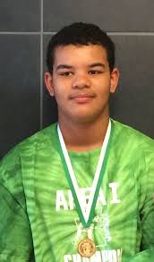 Meyersdale's Stephens claims PJW state title