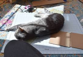 Cardboard Gingerbread Cat House In 2020 Cardboard House Cat House Cats