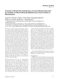 Image result for Cyanotis namuliensis