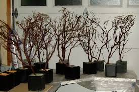 Dollar tree diy holiday vase. Design Aholic Manzanita Branch Centerpiece Decor Tree Branch Centerpieces Branch Centerpieces Branch Centerpieces Wedding