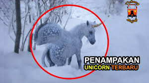 Check spelling or type a new query. Penampakan Unicorn Terbaru Bikin Warga Dunia Heboh Youtube
