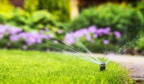 Search for how long should i water the grass. How Long To Water The Grass And Lawns Each Week