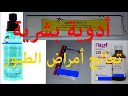 هواية الطيور علاج أمراض الطيور بالدواء البشري company logo tech company logos blog