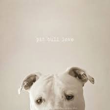 Pin On I Wants
