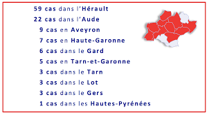 Le maroc, bon élève de la vaccination, suspend ses liaisons aériennes avec la france. Coronavirus 118 Cas Confirmes En Occitanie Ce Mercredi Soir A 22 H La Semaine Des Pyrenees