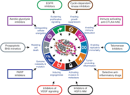 It's meaning is known to most children of preschool age. Hallmarks Of Cancer The Next Generation Cell
