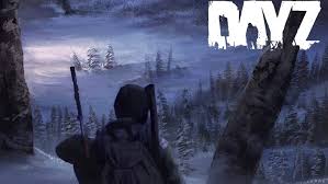 Hesitant prospect is the latest update to the long dark's survival mode, adding new region ash canyon, new tools, and more to the quiet apocalypse. Project A New Dayz Server Geared Towards The Long Dark Tests And Preparation Space Nerd Com