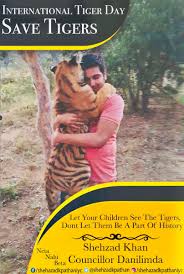 Here are answers to some frequently asked questions on tigers, international tiger day and facts on the big cats. Shehzad Khan Ø¹Ù„Ù‰ ØªÙˆÙŠØªØ± International Tiger Day 29 July There Are Just 3 900 Tigers In The World Let Your Children See The Tigers Dont Let Them Be A Part Of History Save