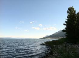 A less heavily developed campground with sites in the spruce and fir forest. Lizard Creek Campground Bewertungen Fotos Grand Teton Nationalpark Wyoming Tripadvisor