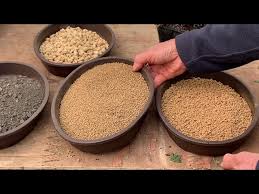 Nemophilist synonyms, nemophilist pronunciation, nemophilist translation, english dictionary definition of nemophilist. Bonsai Soil Mix Golectures Online Lectures