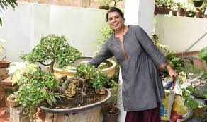 Bonsai for sale in kerala. Jaya S Bonsai A Botanist And Her Bonsai Garden Kochi News Times Of India