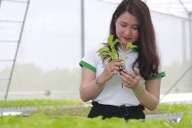 126 likes · 12 talking about this. Nong Nghiá»‡p Cong Nghá»‡ Cao Sáº½ La Nganh Hot Nháº¥t Táº¡i Viá»‡t Nam