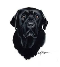 Black Lab Dog Art Print By Watercolor Artist Dj Rogers Etsy Dog Print Art Black Labs Dogs Dog Art