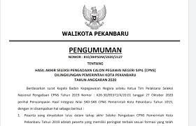 2019 ( download ) (update 29 november 2020) peserta yang mengundurkan diri dan pengganti yang dinyatakan lulus pada penerimaan cpns pemprov jatim formasi th. Pemko Pekanbaru Resmi Umumkan Cpns Yang Lulus Seleksi Berikut Nama Namanya