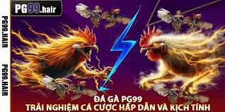 Cá cược đá gà Campuchia BJ99 - Khám Phá Thế Giới Đầy Kịch Tính