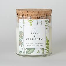 Fern Eucalyptus Soy Candle Velas De Soja Velas Velas Aromaticas