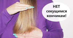 маска для волос для секущихся кончиков в домашних условиях Sredstvo Ot Sekushihsya Konchikov V Domashnih Usloviyah Sekushiesya Konchiki Sredstvo Ot Sekushihsya Konchikov Pricheski