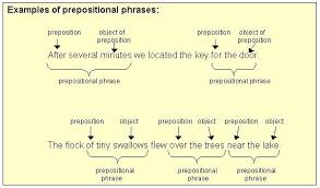 Common prepositional phrase examples include about, after, at, before, behind, by, during, for, from, in, of, over, past, to, under, up, and with. Prepositions