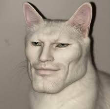 7 maut, bot pelancong terbalik di perairan Sumatera BERNAMA Jakarta: Tujuh  orang disahkan maut selepas sebuah bot pelancong yang membawa lebih 100  penumpang terbalik dan karam di luar pantai Bengkulu, pulau Sumatera,