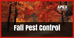 Apex pest control asheville is here to help! Pest Control Asheville