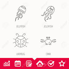 Jellyfish Crab And Ladybug Icons Ladybird Linear Sign Edit