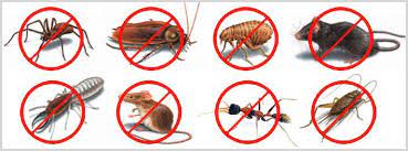 Integrated pest management is a method of pest control that allows you to use fewer chemicals by focusing on prevention. Simple But Effective Pest Control Techniques By Erik Jamison Medium