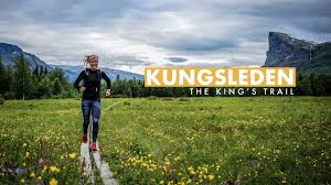Mit zelt und übernachtung in hütten. Der Nordliche Kungsleden Organisation Kosten Vorbereitung