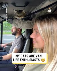 This is the cutest thing ever! 😭