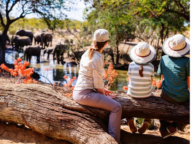 Family Friendly Lodges in Tanzania for Unforgettable Safari Adventures