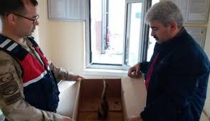 Hint Golet Balikcil Kusu Cezaevi Bahcesine Indi Hayvanlar Alemi Haberleri Haber7
