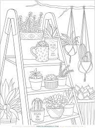 Dogs love to chew on bones, run and fetch balls, and find more time to play! Pin On Free Coloring Pages For Adults Kids
