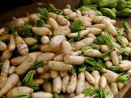 Apr 03, 2019 · daikon is a long white japanese radish, which has a crunchy texture and a light peppery and sweet taste. Daikon Wikipedia