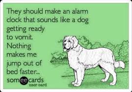 They Should Make An Alarm Clock That Sounds Like A Dog Getting Ready To Vomit Nothing Makes Me Jump Out Of Bed Faster Funny Quotes Hilarious Funny