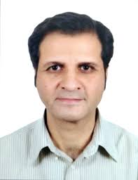 Segmental Consulting