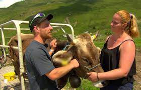 Check spelling or type a new query. Bauer Ledig Sucht Powerfrau Nastassja Sucht Hofherr Schweizer Bauer