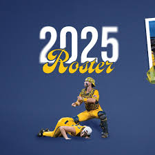 Dalton McCartney, OPE, we meant Mauldin is soooo dreamy🤪🎶 #baseball  #2000sthrowback #MLB #savannahbananas #pleasepleaseplease #millennials  #jessemccartney