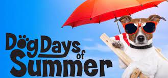 We use this saying every year. Dog Days Of Summer Clear Lake Iowa Chamber Of Commerce