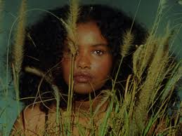 S U S A N N E S T E I N M A S S L