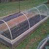 The yardgard poultry netting is a true chicken wire made in the traditional hexagonal shape that chicken owners know and love when they want to improve or make their next chicken enclosure. Https Encrypted Tbn0 Gstatic Com Images Q Tbn And9gcsymobdlsoqhp5ondvtpzhtjn Eg7bx7cq 5pspevpxz5od 4p5 Usqp Cau