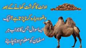 Nov 19, 2010 10:43 am by staff reporter. After Eating Camel Meat Wudu Is To Be Done Again Raaztv