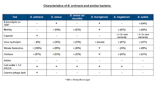 Public Health Environmental Laboratories Bacillus Anthracis