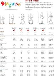 Amazon.co.jp: Disguise ゼルダのリンクの大人の衣装の女性の伝説 : Hobbies